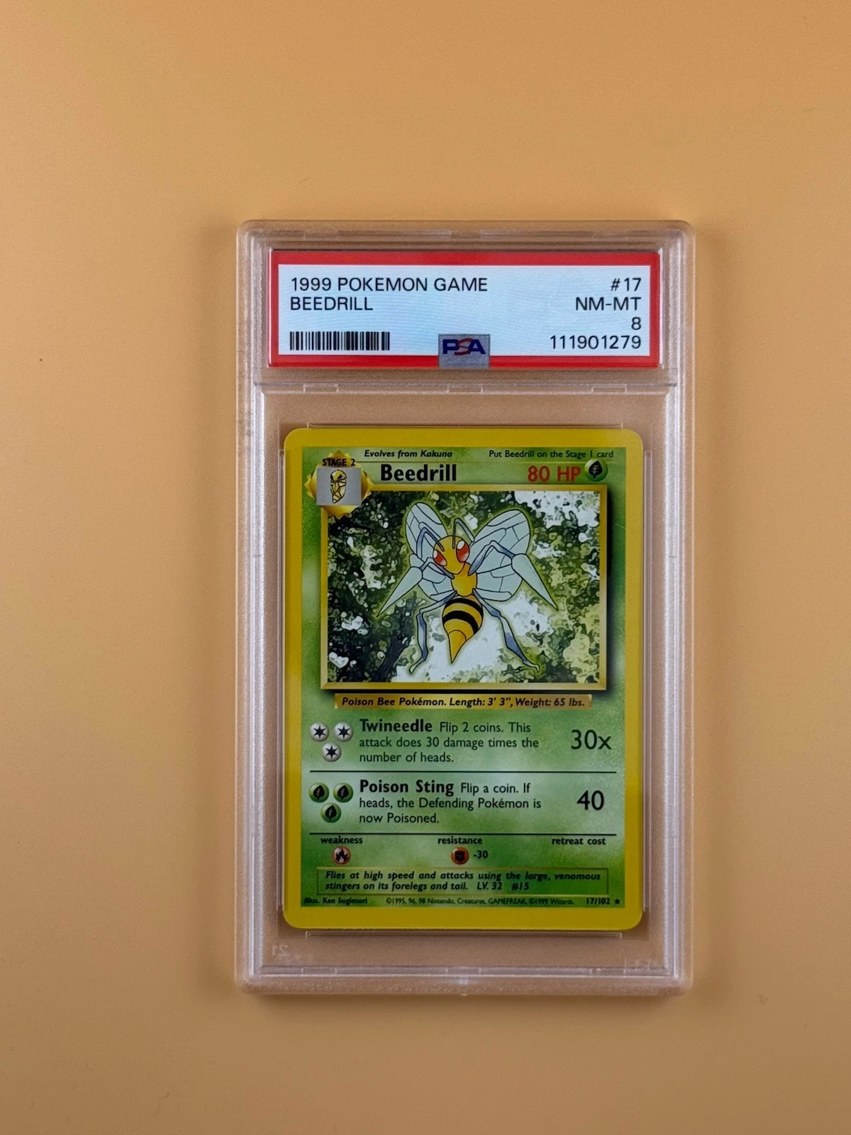 Beedrill Base Set